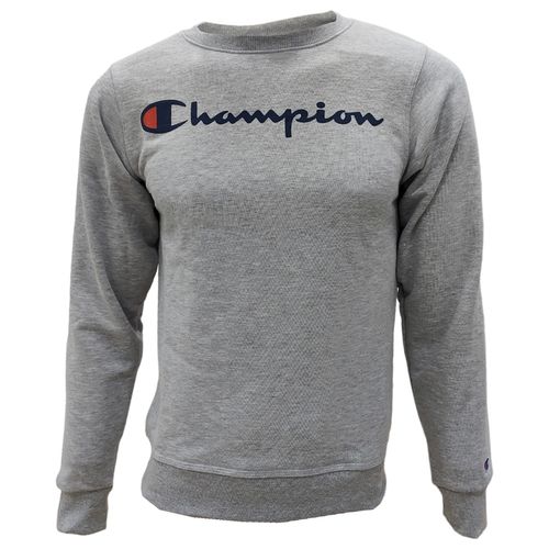 Buzo Champion Logo Hombre