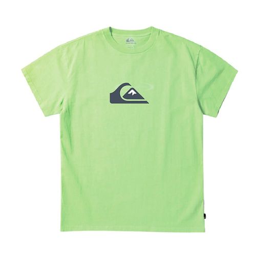Remera Niño Quiksilver Mountain Wave