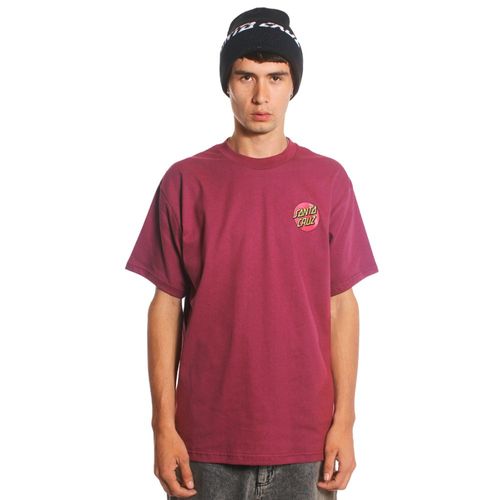 Remera Hombre Santa Cruz Reg Dot