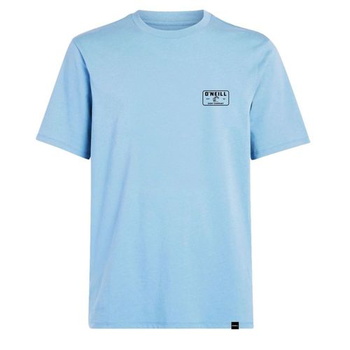 Remera Hombre Oneill Back