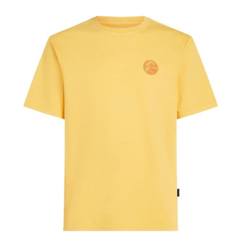 Remera Hombre Oneill Vintage