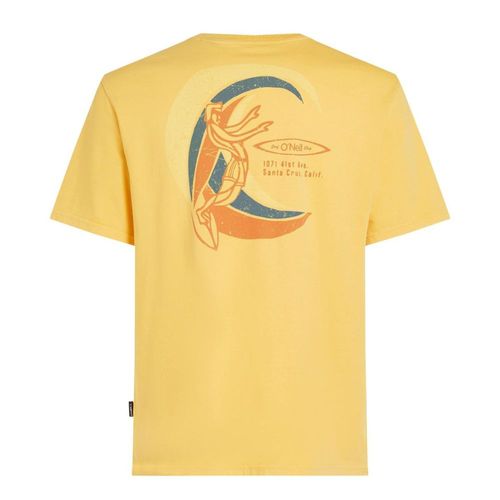 Remera Hombre Oneill Vintage