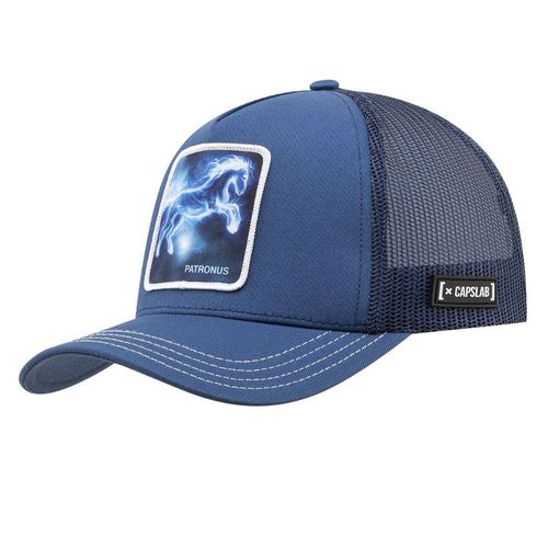 Gorra Capslab Harry Potter Patronus