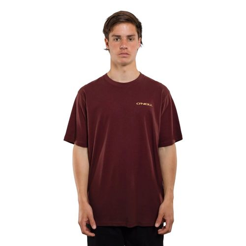 Remera Hombre Oneill Glassy Days