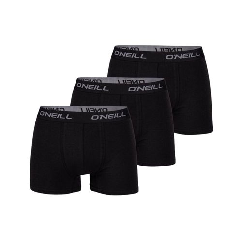 Boxer Oneill X3