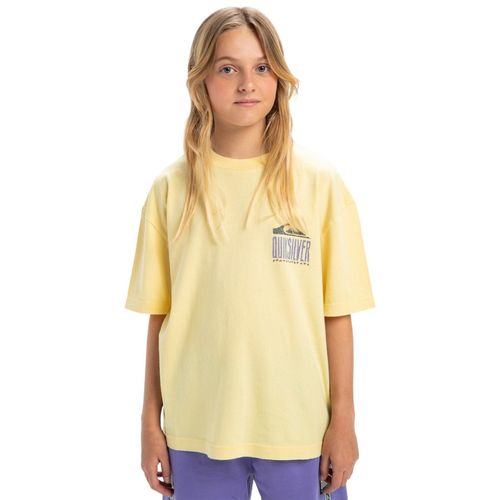 Remera Niño Quiksilver World Force